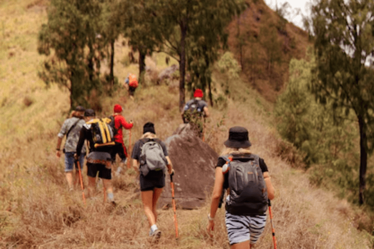  Epic Trail Running Destinations in Australia to Explore